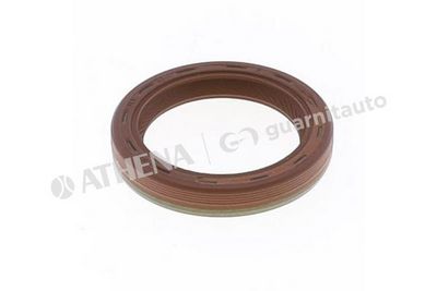 SIMERING ARBORE COTIT