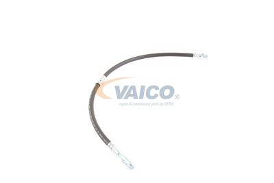 FURTUN FRANA VAICO V103077 52