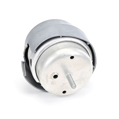 LAGERUNG MOTOR DELPHI TEM288 7