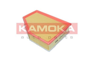 Air Filter F255701