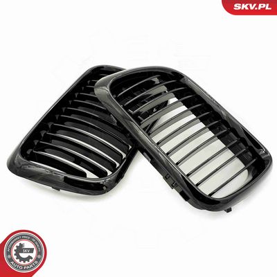 GRILA RADIATOR ESEN SKV 66SKV049 3