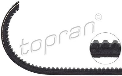 V-Belt 100 241