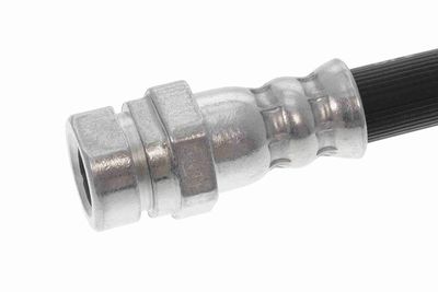 FURTUN FRANA VAICO V107680 4