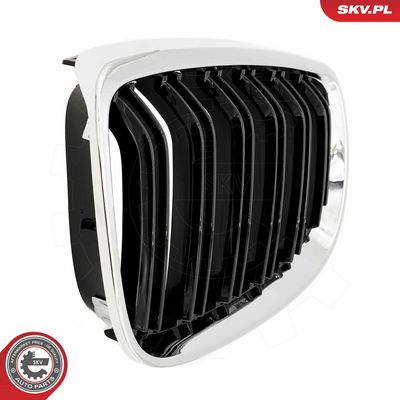 GRILA RADIATOR ESEN SKV 66SKV110 4