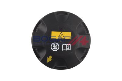 VAS DE EXPANSIUNE RACIRE BOGAP B4240102 4