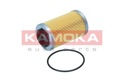 Oil Filter F125501