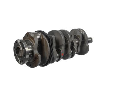 ARBORE COTIT ET ENGINETEAM HK0231 26