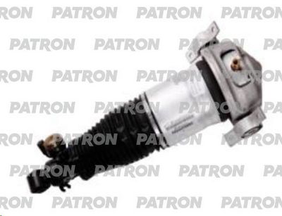 PATRON PAS2019 PATRON PAS2019