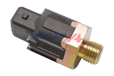 SENOR BATAI BOGAP R6113101 3