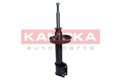 Shock Absorber 2001053