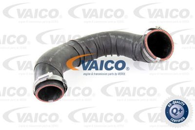 Трубка нагнетаемого воздуха VAICO V10-4393 для AUDI Q5