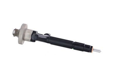 INJECTOR REMANTE 002003000191R 43