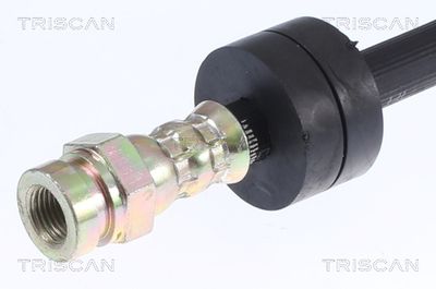 FURTUN FRANA TRISCAN 815028252 1