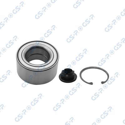 SET RULMENT ROATA GSP GKX0091