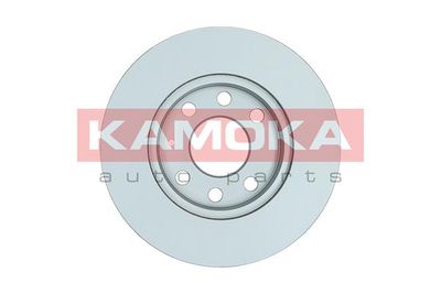 Brake Disc 1032260