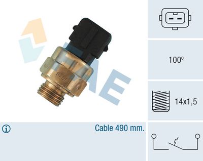 COMUTATOR TEMPERATURA RACIRE FAE 35570