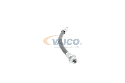 FURTUN FRANA VAICO V201900 38