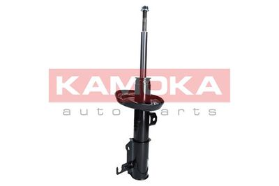 Shock Absorber 2000048