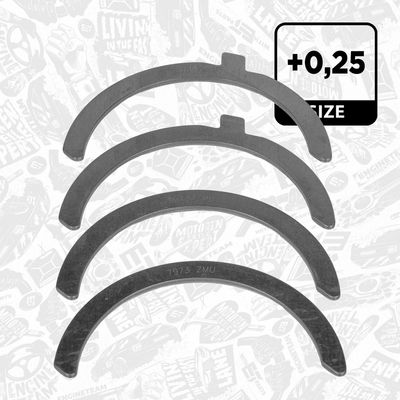 SAIBA DISTANTIER ARBORE COTIT