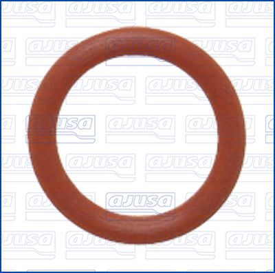 GARNITURA CONDUCTA LICHID DE RACIRE