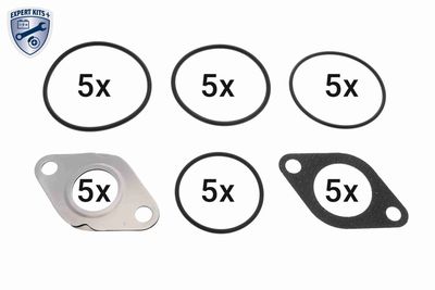 SET GARNITURA SISTEM EGR