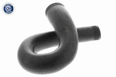 FURTUN EAR SUPRAALIMENTARE