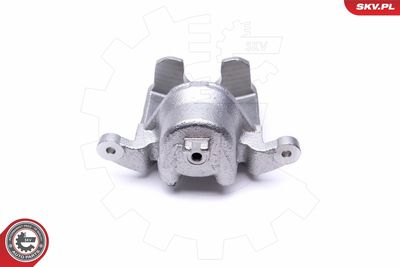 Brake Caliper 46SKV882