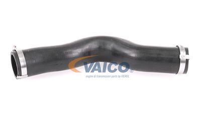 FURTUN EAR SUPRAALIMENTARE VAICO V401448 12