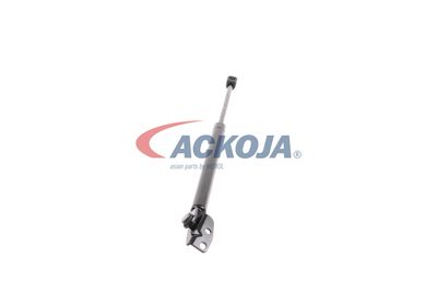 AMORTIZOR PORTBAGAJ ACKOJA A520093 50