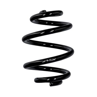 ARC SPIRAL EIBACH R10030 25