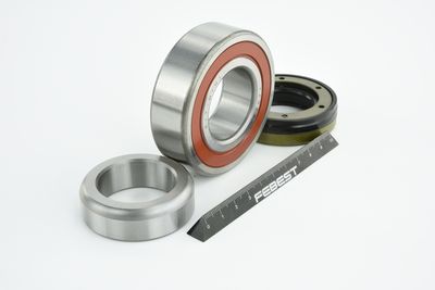 RULMENT AX CARDANIC FEBEST KITMINI 45