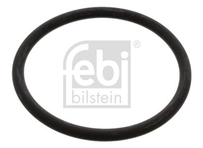 FEBI BILSTEIN Dichtung, Thermostat