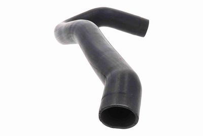 FURTUN EAR SUPRAALIMENTARE ACKOJA A380640 5