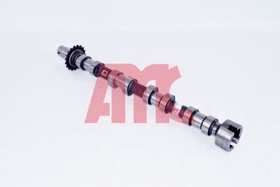 NOCKENWELLE AMC 647148 2