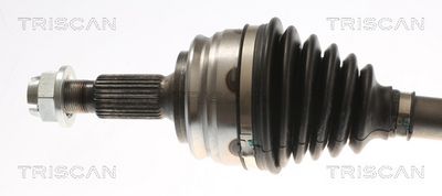 PLANETARA TRISCAN 854010554 1