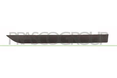 ELEMENTE DECORATIVE/PROTECTIE PORTIERA PRASCO FD4201453