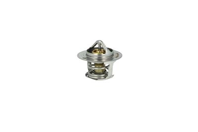 TERMOSTAT LICHID RACIRE NRF 725097 12