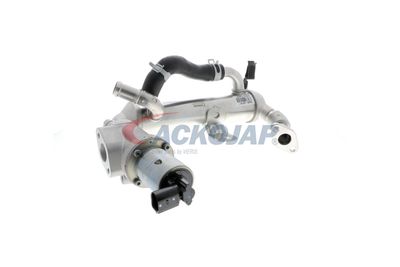 MODUL-EGR ACKOJA A52630018 56
