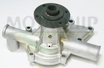 MOTAQUIP VWP285 Помпа (водяной насос)  для BMW (Бмв)