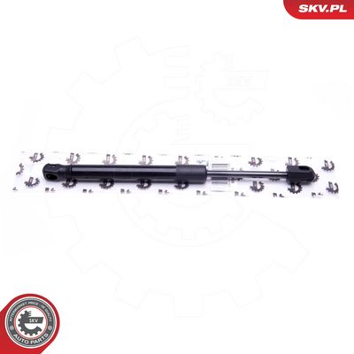 Dujinė spyruoklė, bagažinė