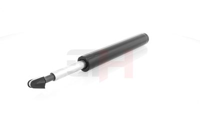 AMORTIZOR GH GH344794 11