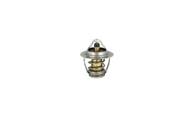 TERMOSTAT LICHID RACIRE NRF 725193 6