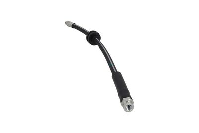 Stabdžių žarnelė