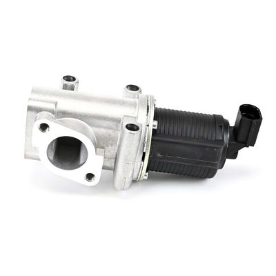 AGR-VENTIL DELPHI EG1030112B1 13