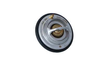 TERMOSTAT LICHID RACIRE NRF 725075 44