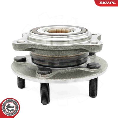 SET RULMENT ROATA ESEN SKV 29SKV616 4