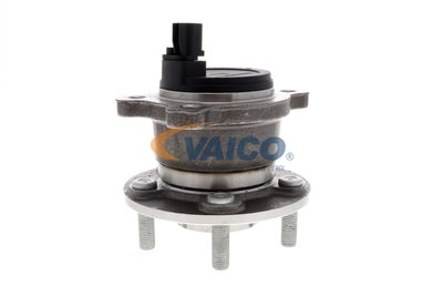 RADNABE VAICO V251447 51
