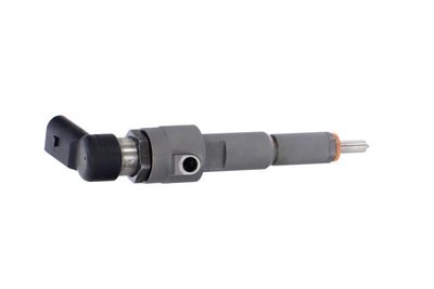 INJECTOR REMANTE 002003001356R 38