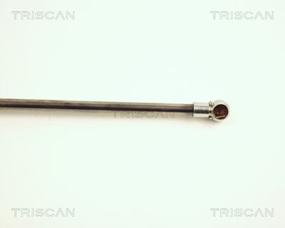 AMORTIZOR PORTBAGAJ TRISCAN 871028217 2