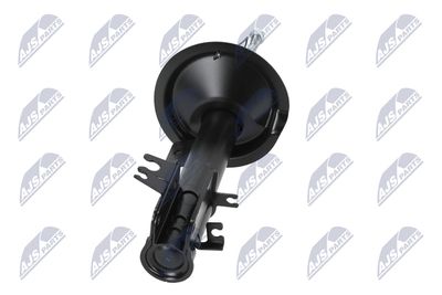 AMORTIZOR NTY ACT029 17